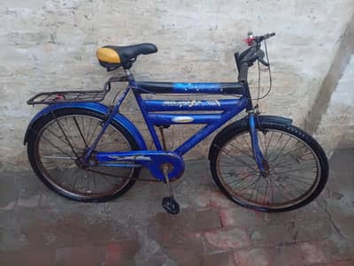 Mountain bike