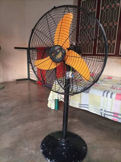 Dollar Fan sale