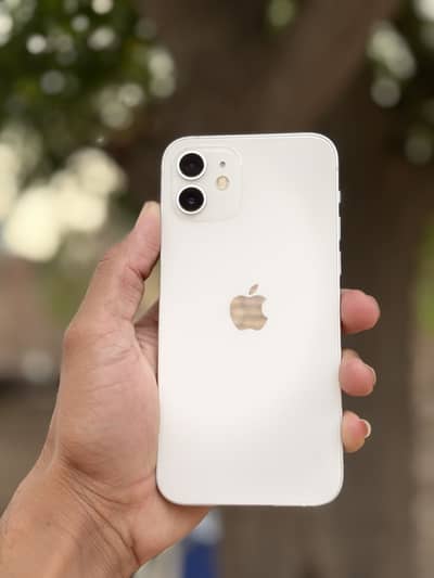 Apple iPhone 12