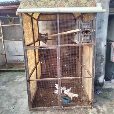 Cages for sale