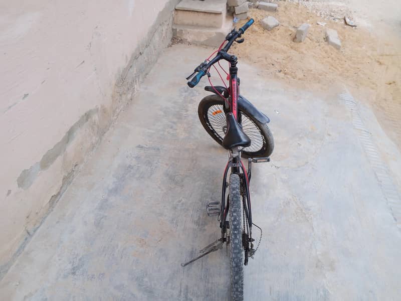 cycle 3