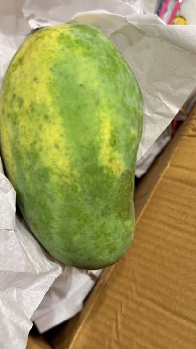 Excellent quality mangoes for sale straight from my own farms