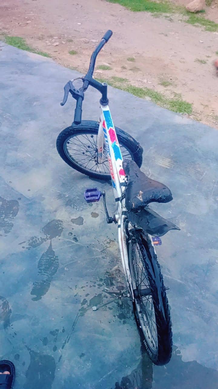cycle 1