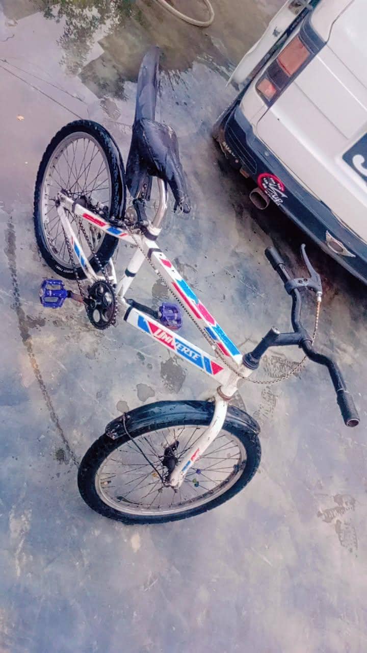 cycle 2