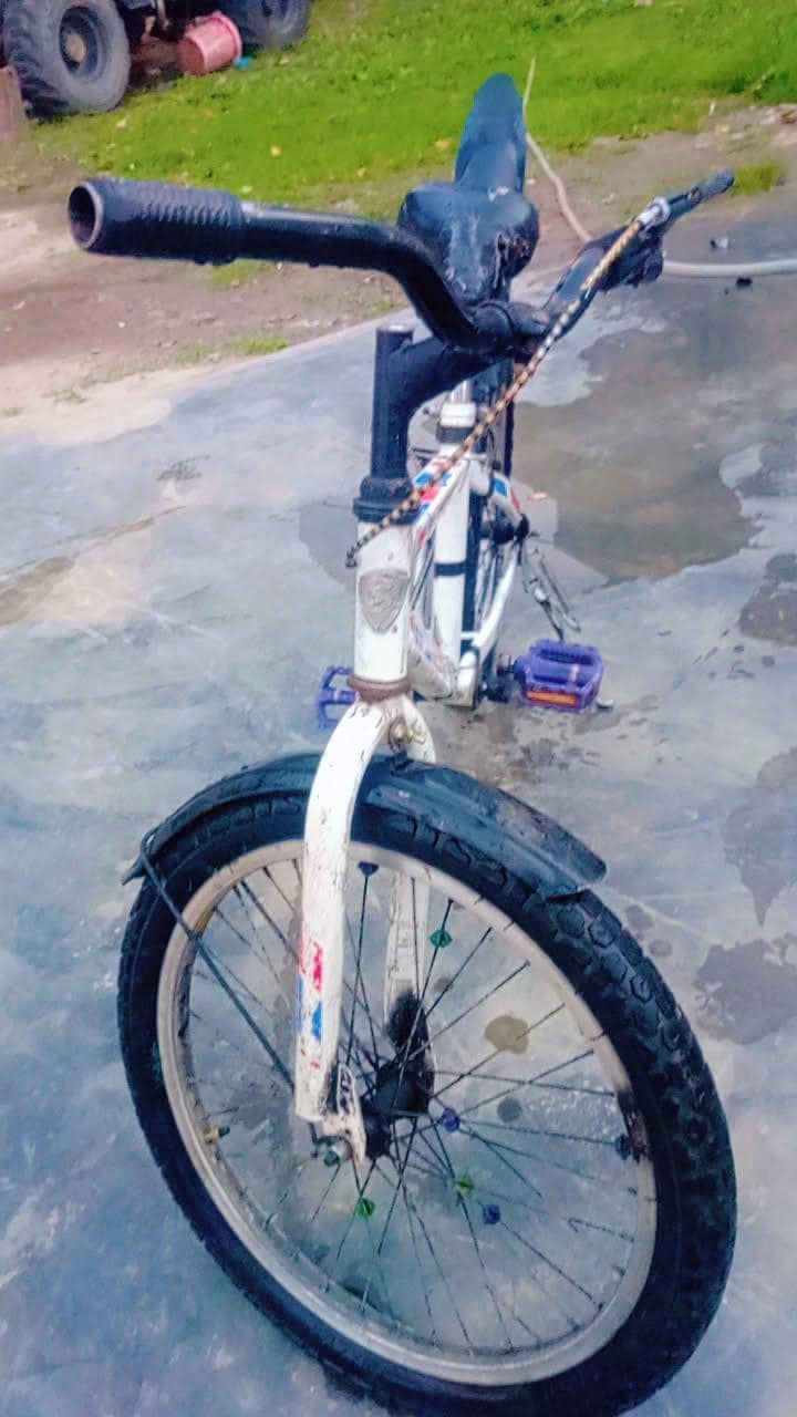 cycle 3