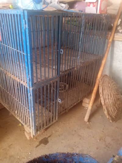 Hen Cage for Sale