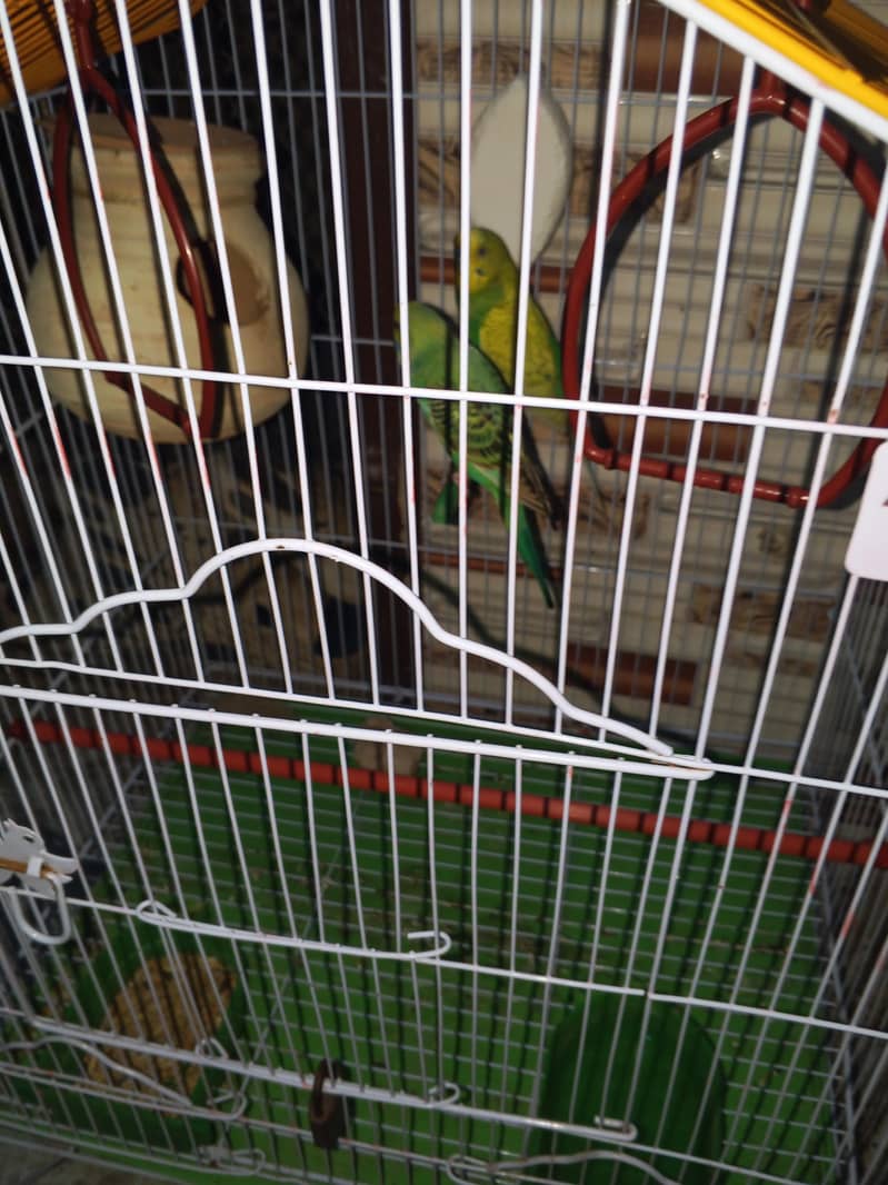 full active pair 0