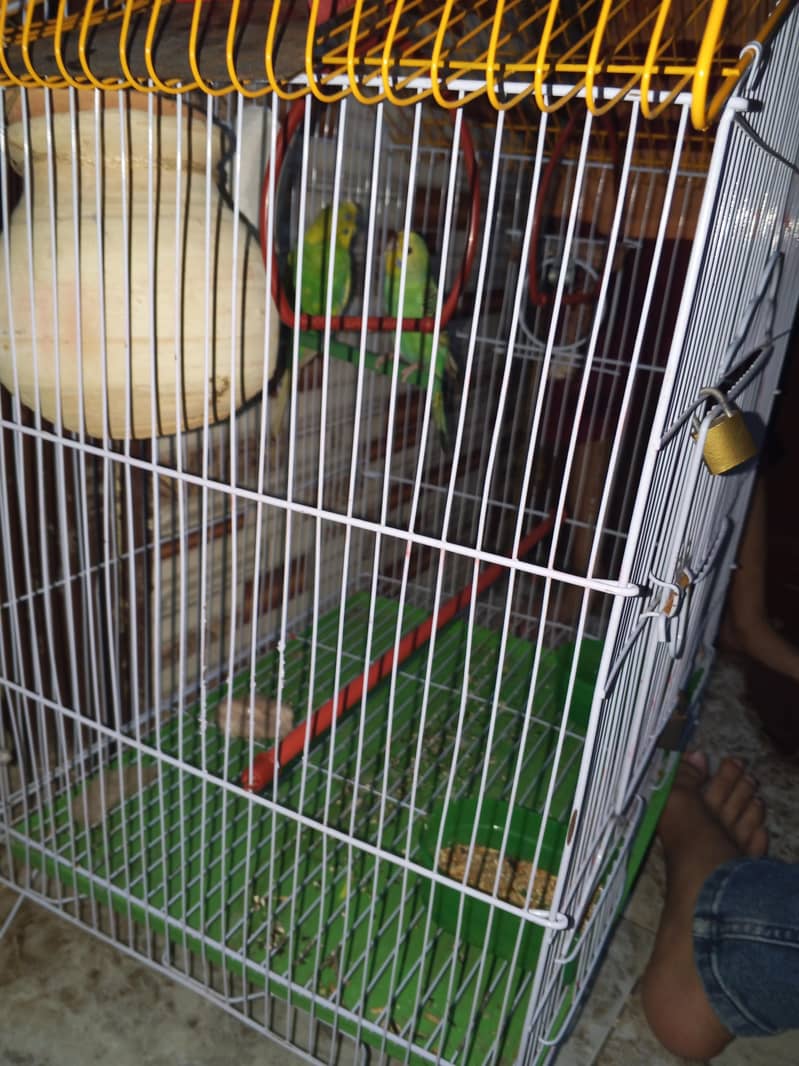 full active pair 1