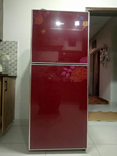 Hair Fridge