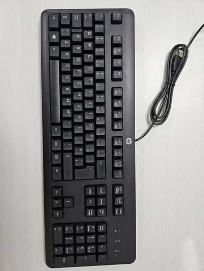 Original HP Wired USB Keyboard (Model KU-1156) - Mint Condition