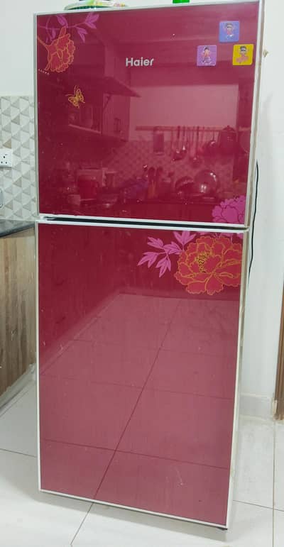 Hair Fridge