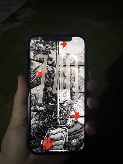 Apple iPhone 12