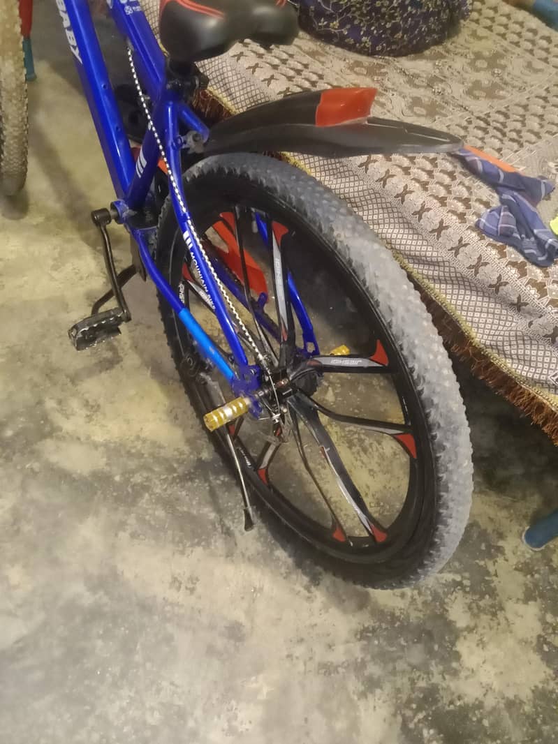 important cycle 4