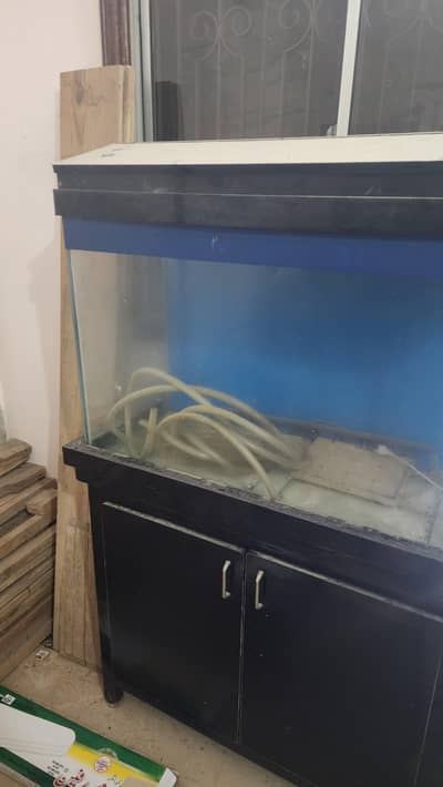 aquarium