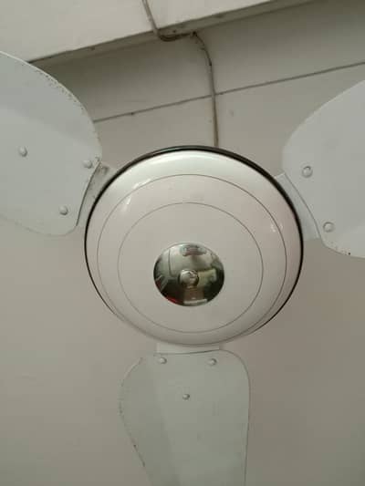 2 Wahid Ceiling Fans - Excellent Condition - Slightly Used