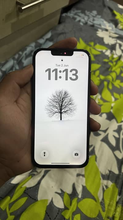 Apple iPhone 13