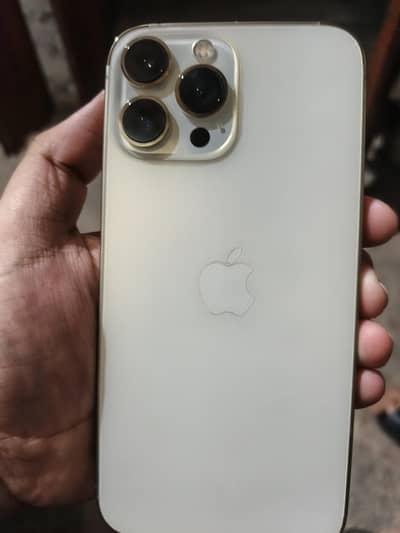 iphone 13 pro max 10 by 10 condition