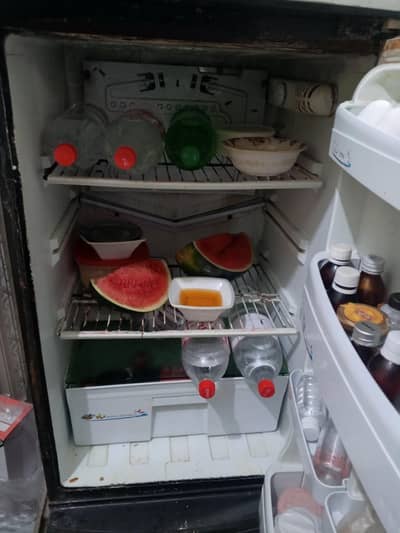 freezer