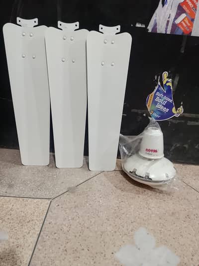 Royal Fan For Sale