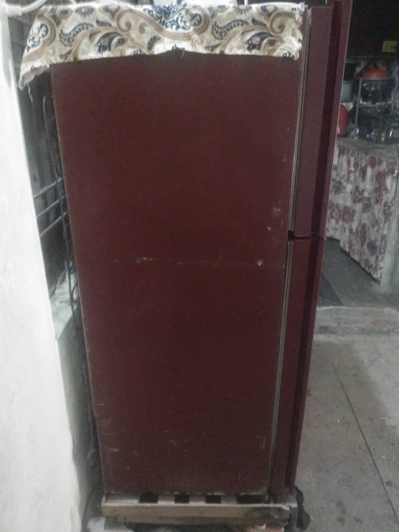 fridge 1