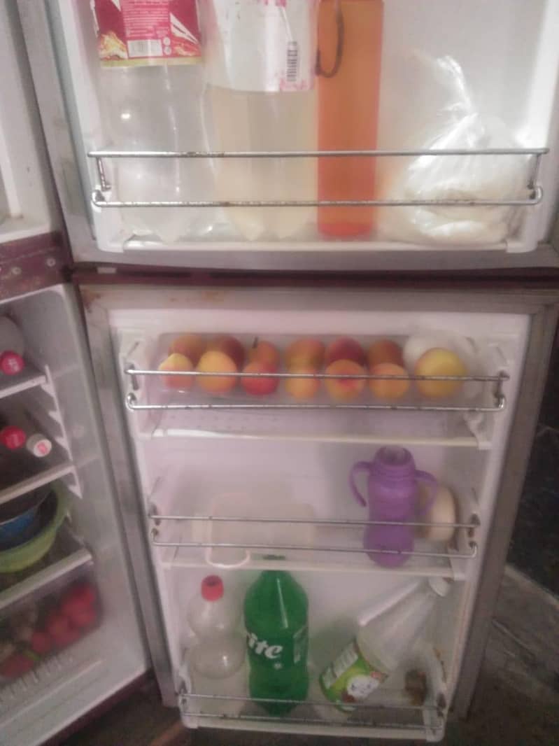 fridge 2
