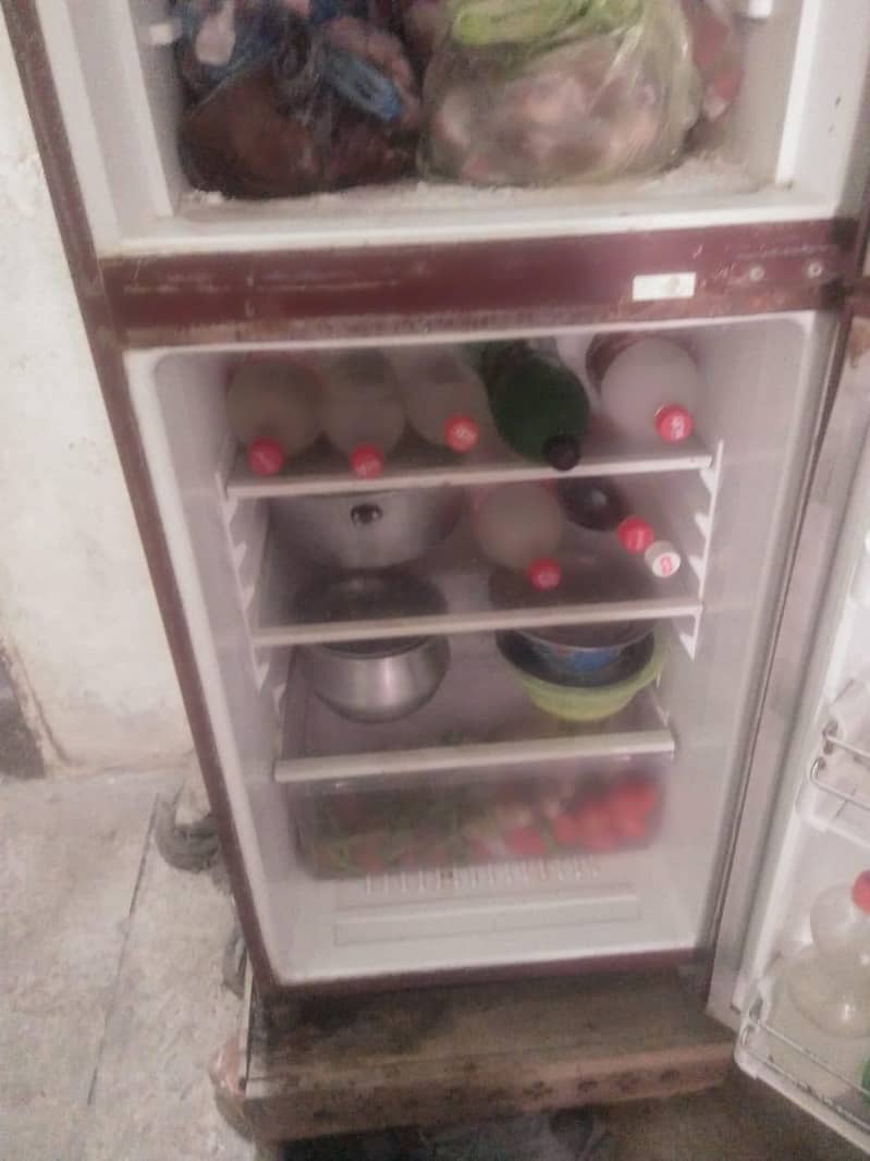 fridge 3