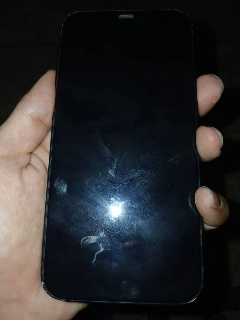Apple iPhone 12 1