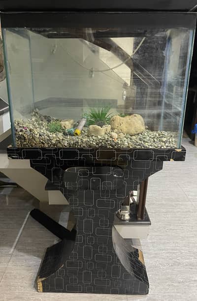 Fish Aquarium with Accessories