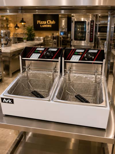 Electric Fryer