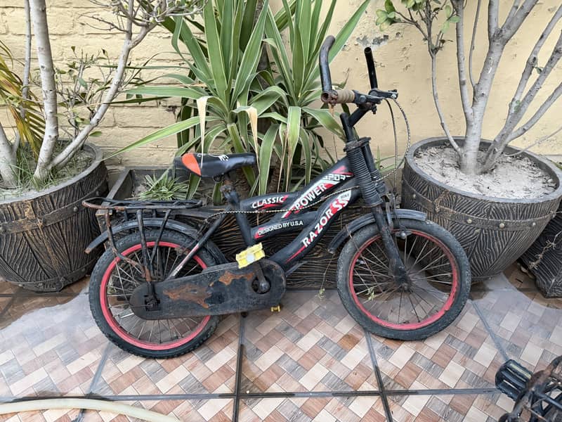 Bicycle 0