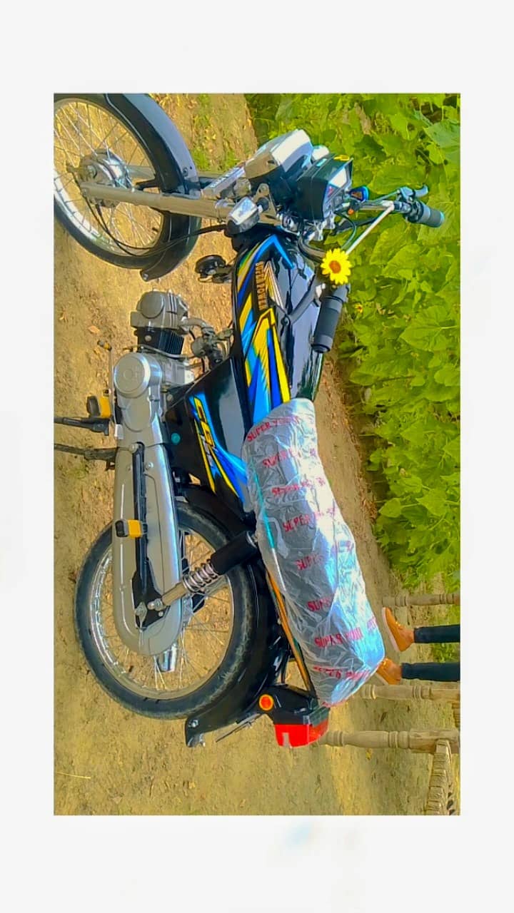 2019 model 0