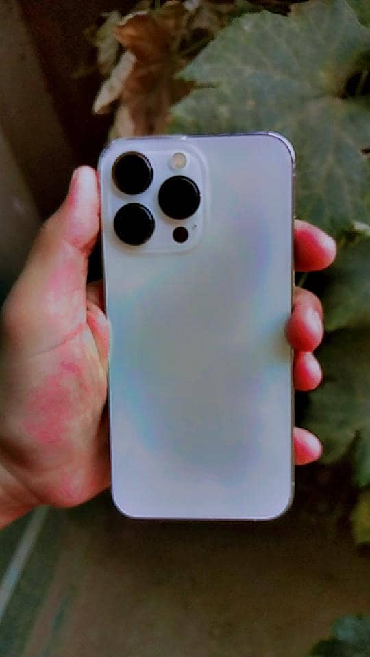 iphone13pro 0