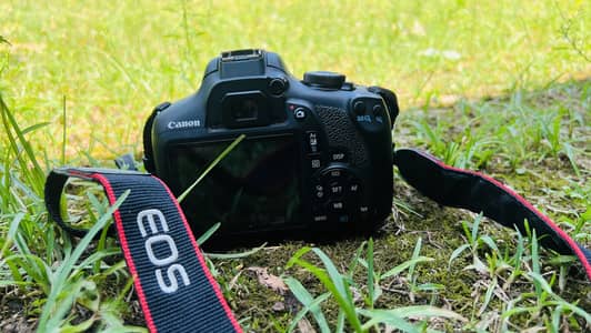 Canon 2000D/Rebel T7 with 50mm yongnuo lens and 18-55mm basic kit lens