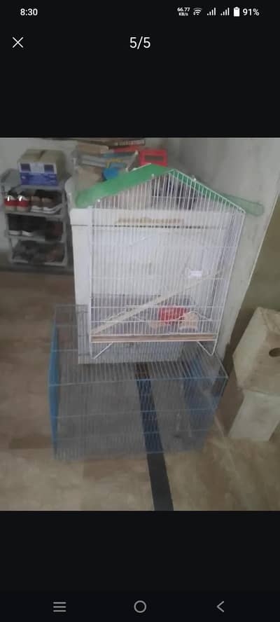 iron cage