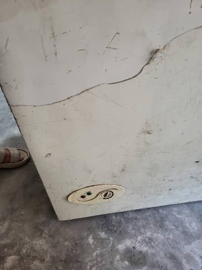 Large Capacity Deep Freezer for Sale