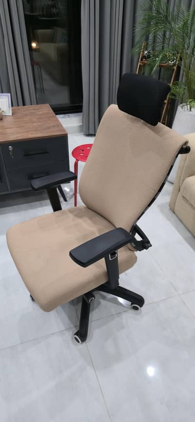 Executive chair for home/office use