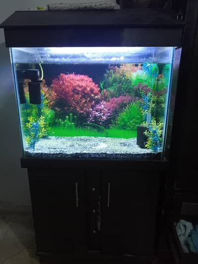 Aquariums