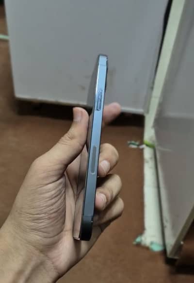 Apple iPhone 12 Pro fu