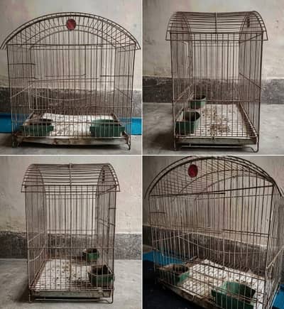 Iron Cage for sale