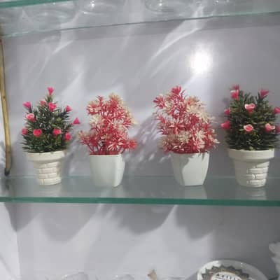 Home Flowers