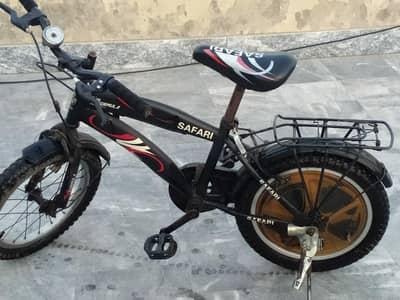 Safari cycle for kids