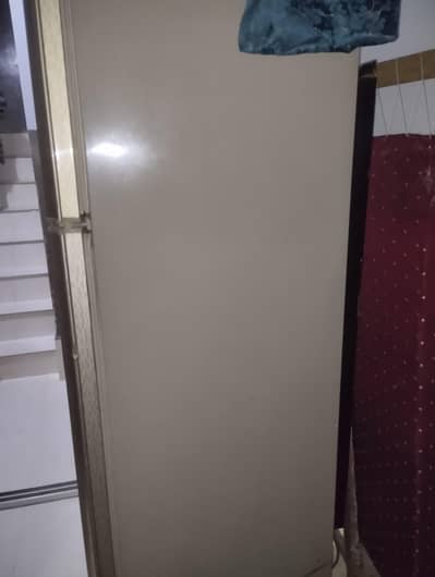 frige