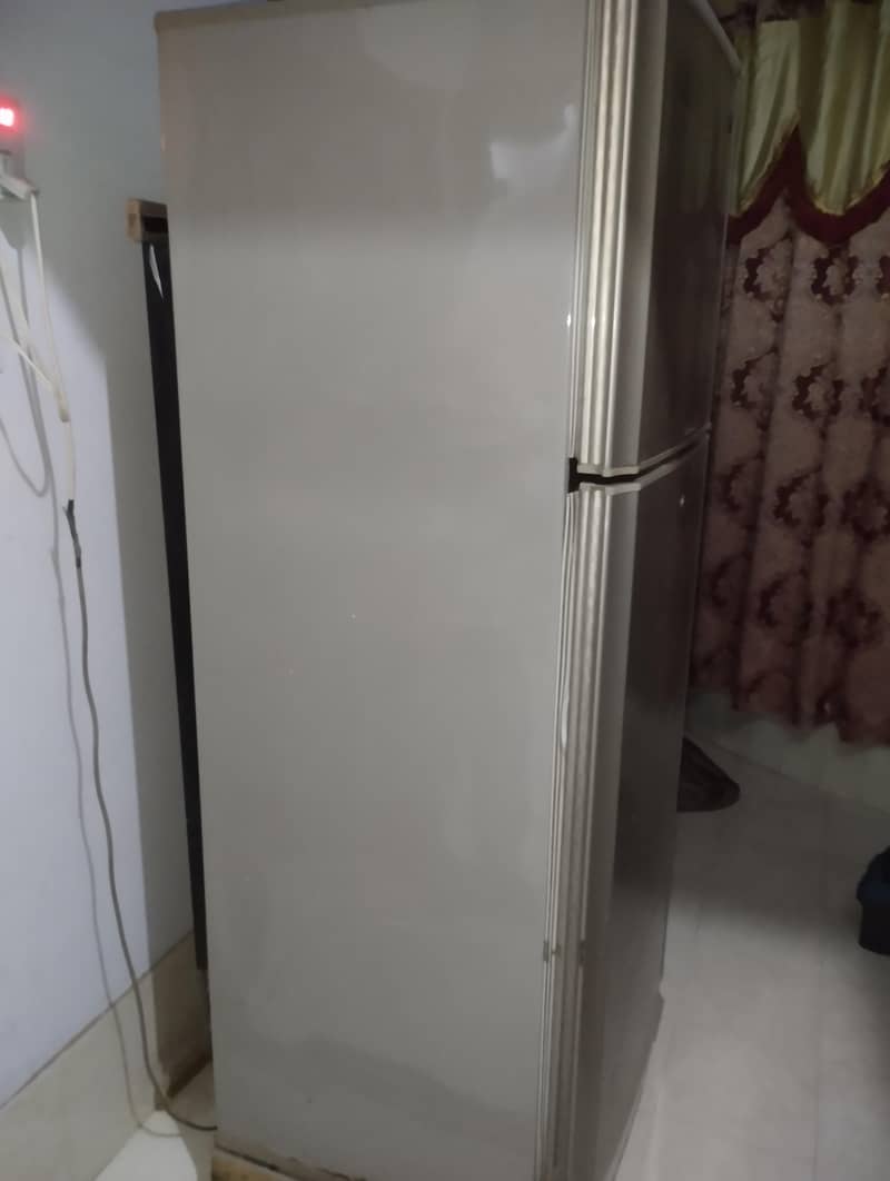 frige 1