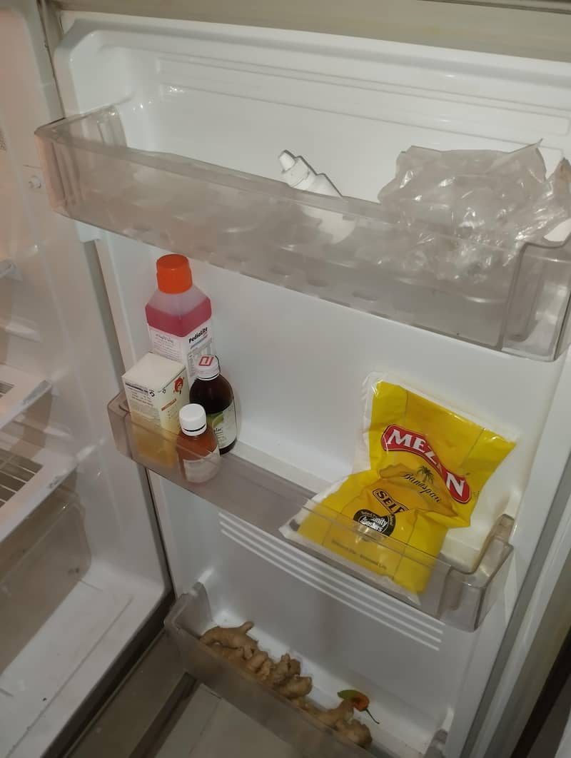 frige 5