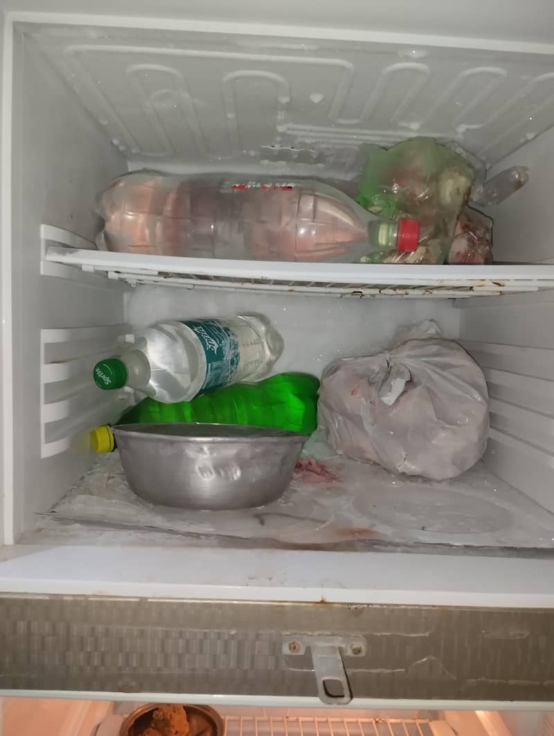 frige 8