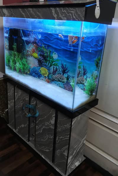 Complete Fish Aquarium Setup - Ready to Use For Sale