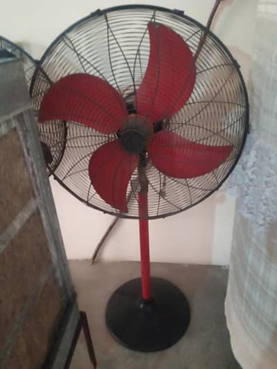 polo fan