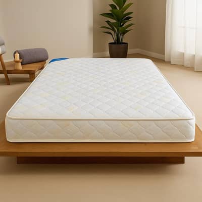 Dura Spring Mattress