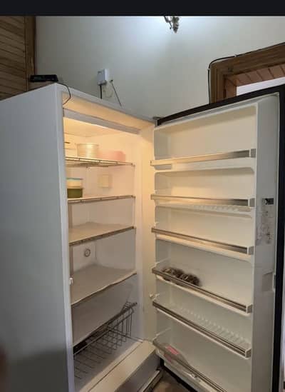 VERTICLE STANDING FREEZER