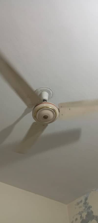 I AM SELLING 3 CELLING FAN 1 GFC 2 FAN ROYAL HA PURE COPPER  all ok